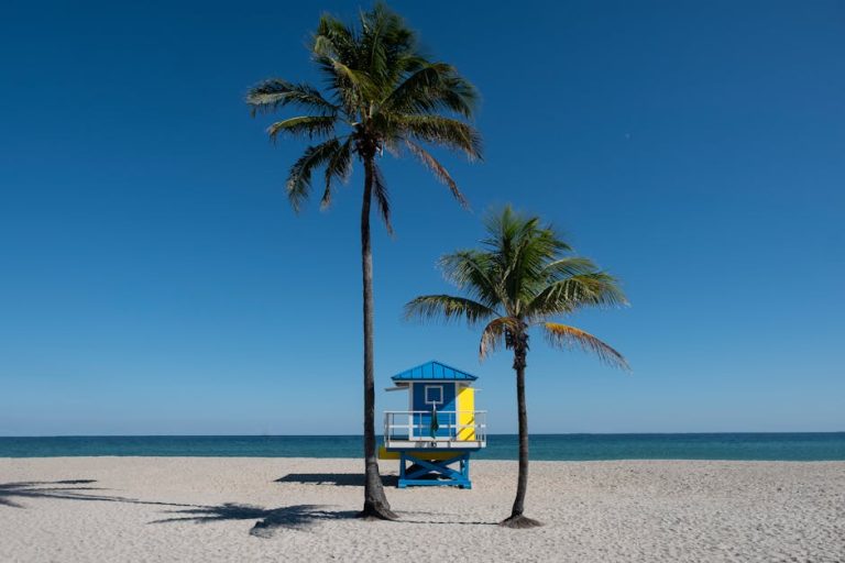 florida local seo services