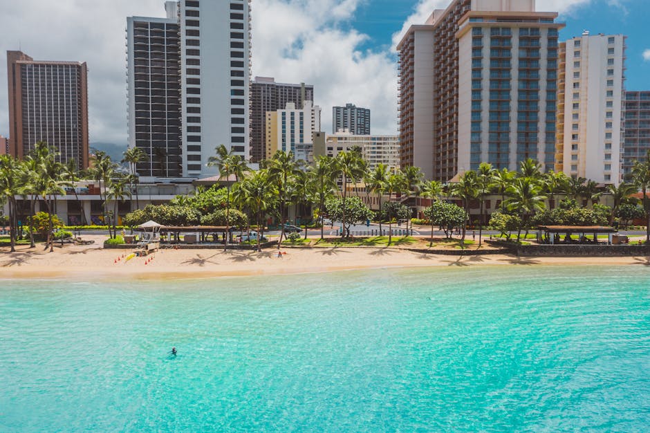 seo company west palm beach