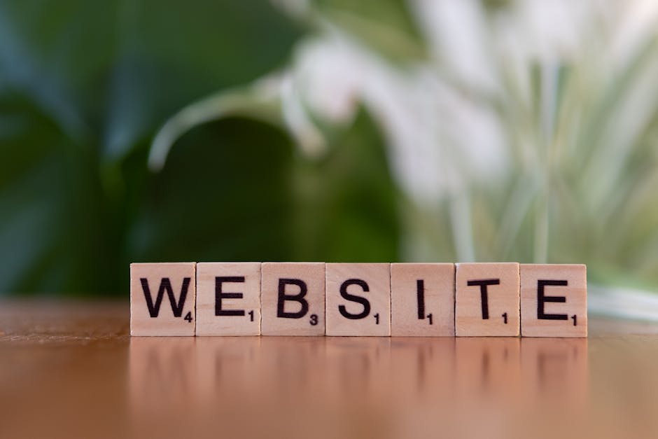 professional web design in delray beach