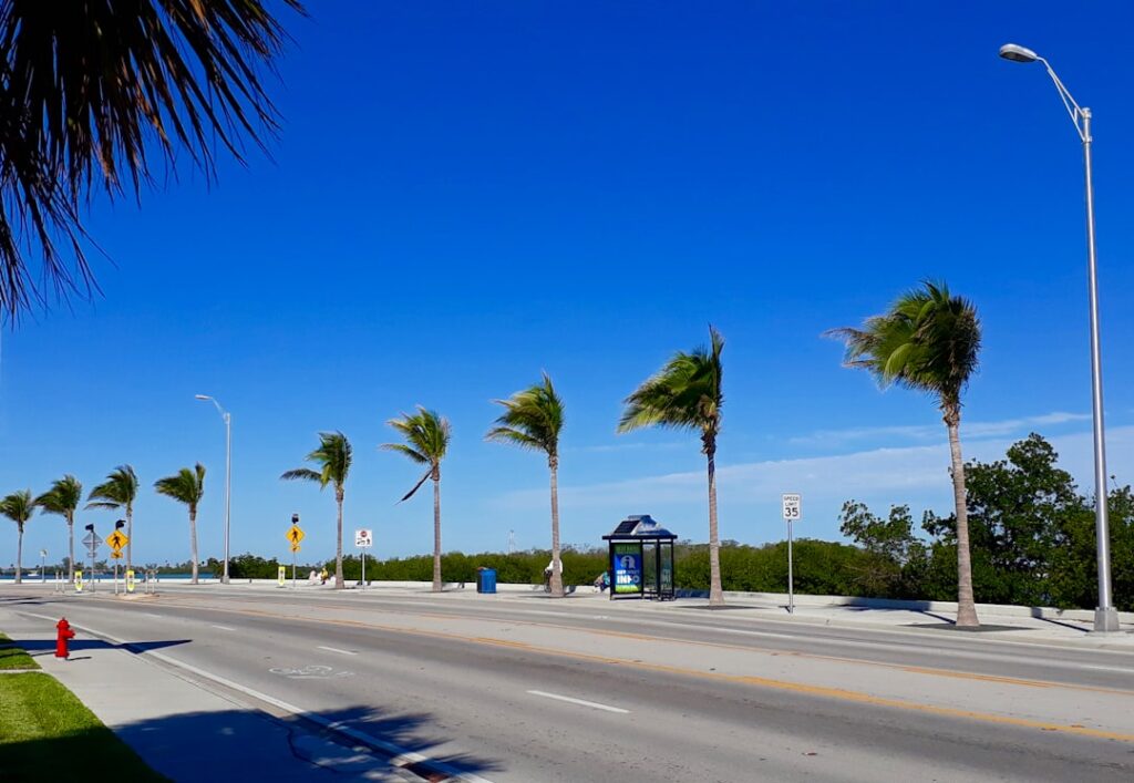 search engine optimization delray beach